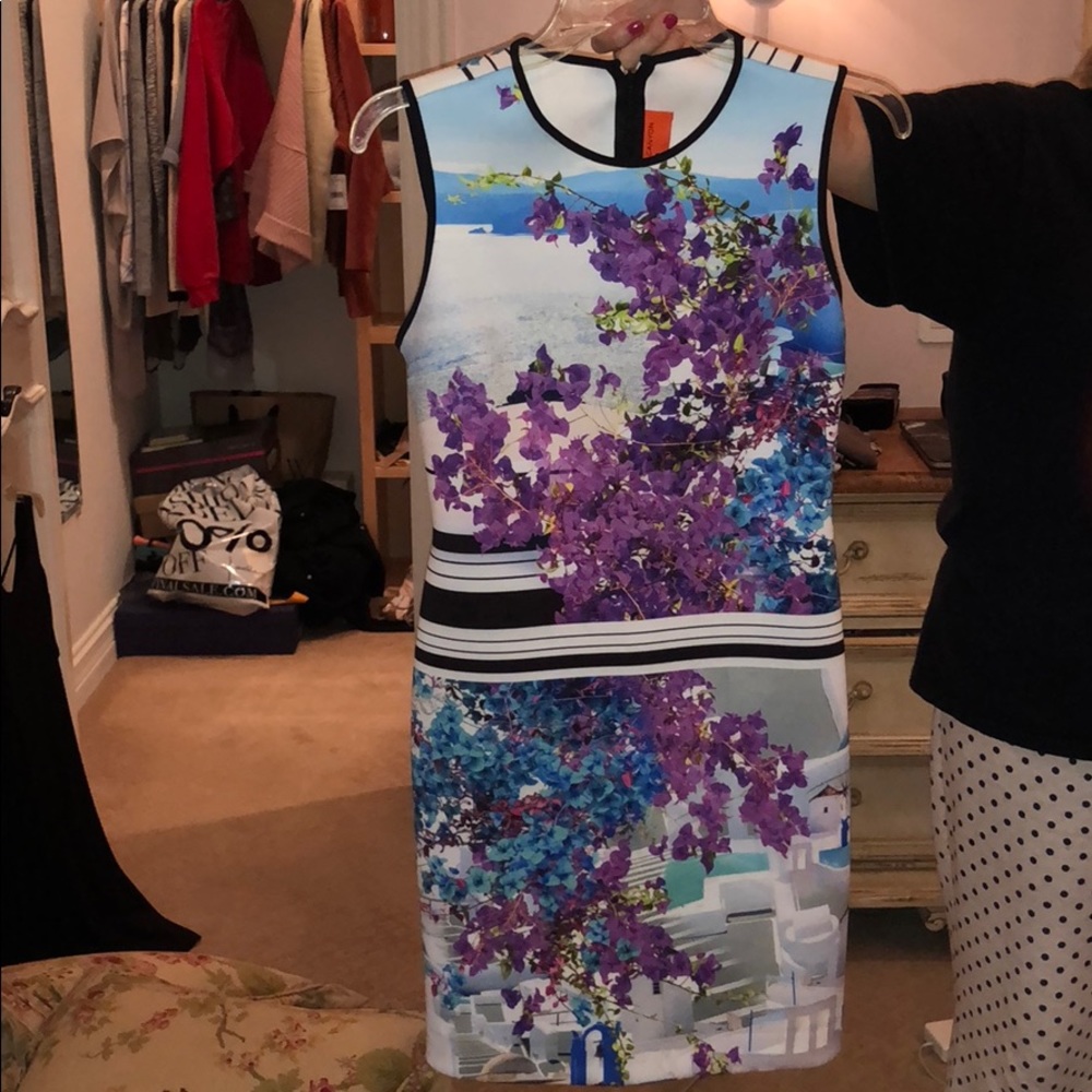 clover canyon dress